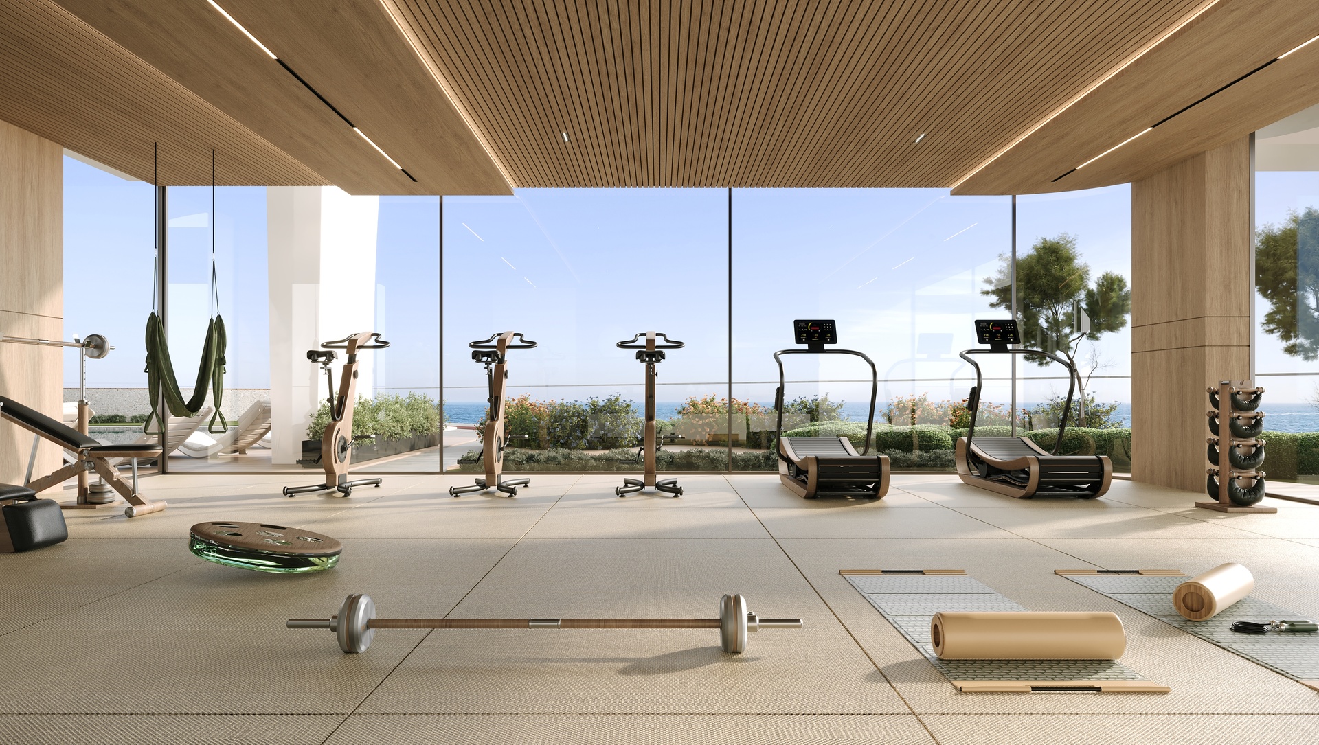 Gym View 